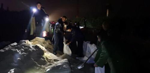2. 父辈警示与个人动机的关联