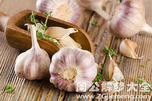 蒜啊蒜！那些乱七八糟的梦境到底在搞什么鬼？