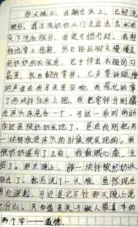 回忆与反思