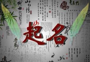 广东梅州算命八字取名方法有哪些？