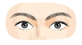 眼窝深陷：洞察力与人际疏离的双重面相