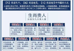 二、 查询自身夫妇宫的系统步骤
