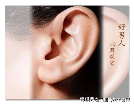 鼻梁较高挺与事业运之关系