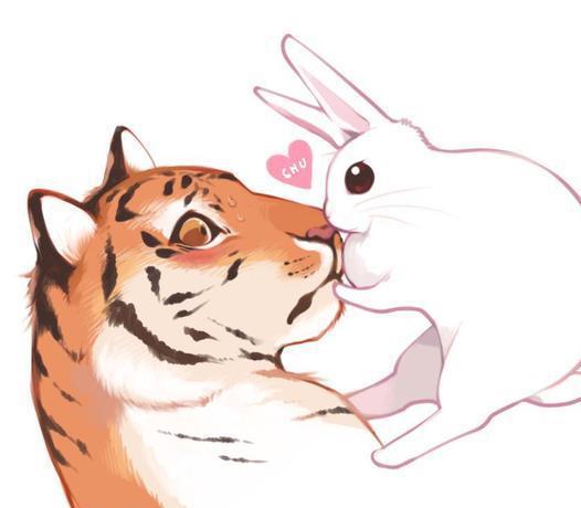 属虎男和属兔女性格是否相合，老公属虎老婆属兔意味着什么？