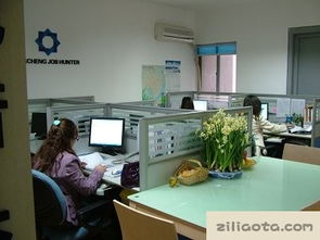 4. 财位坐向与门口直视关系的调节方案