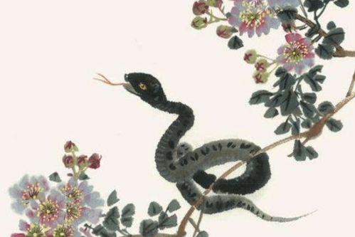 2026年属蛇五月运势如何，全年运势怎样？