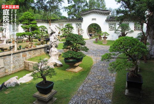 庭院石头和竹子摆放风水位置，如何选择最佳布局？