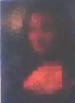 二、 有可能机制的综合解析
