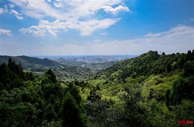 龙泉山国家森林公园：自然生态与文化气场的双重价值