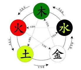基于八字的命理分析框架