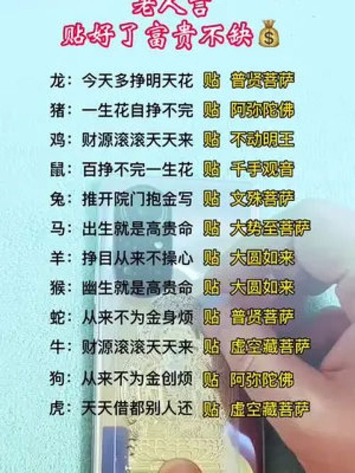 一、生肖智慧的文化根源与内在逻辑