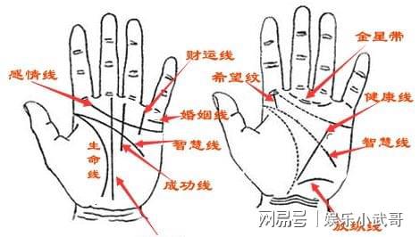 ：手相学视域下的财务风险辨识