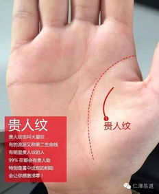 如何让看手相显得更专业？手相学有哪些流派？