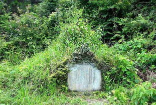 李宗仁祖坟风水图片在广西昭平，如何改写才能体现其风水特点？