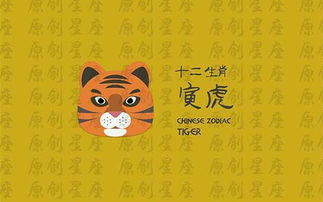 一、 属相相合对投缘可能性的结构化阐释