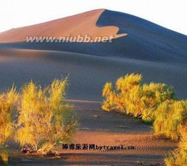 1. 那些所谓的“景点”， 简直是噩梦