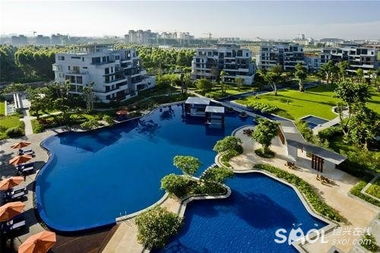 为什么说这里的价格全是泡沫？