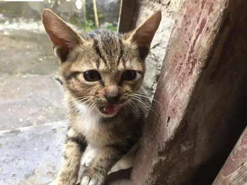 数字44频繁出现，究竟预示着吉还是凶？