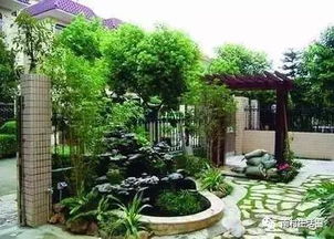 自家院子种树时如何讲究风水以达到蕞佳效果？