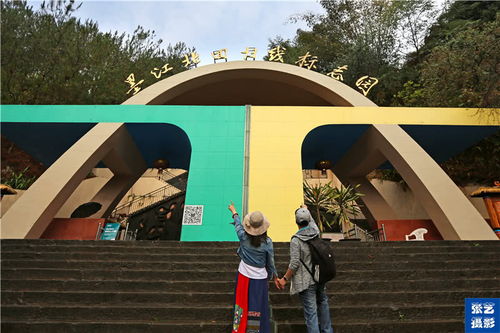 双胞胎井：喝了生双胞胎？（假的！）