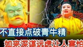 1.1 辰时诞生者的特殊优势