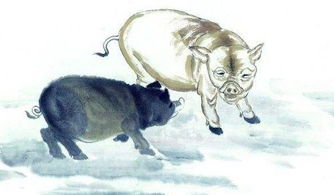 将嫌肥挑瘦打一正确生肖，膘肥体壮打一正确生肖是什么生肖的特点？