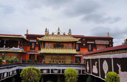 5. 一些令人崩溃的小细节