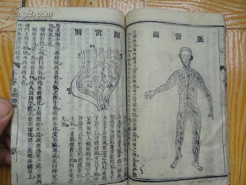 二、 西方白虎七宿三至南方朱雀七宿四之详尽记录