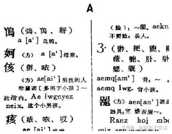 从历史到当代， 对true/false 童子命