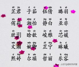 别被表面现象迷惑了