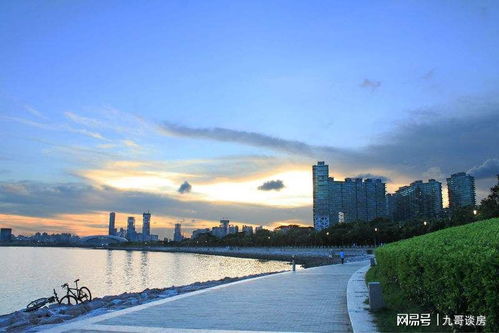 杨易公大师：经验与学识兼备