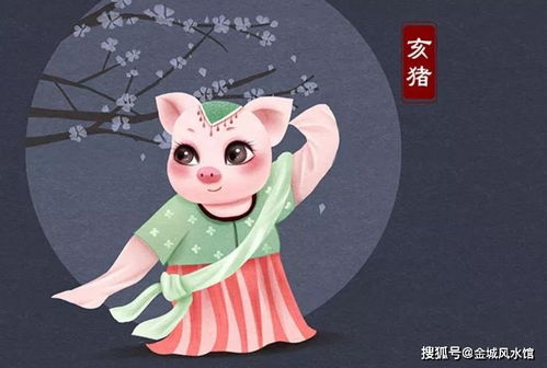 属猪天蝎座女性2026年运势如何？属猪双鱼座女性2026年运势详解是什么？