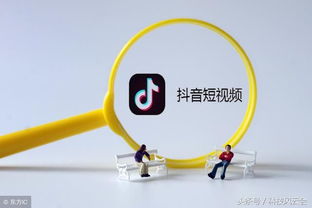 从稚嫩到深沉：岁月沉淀下的命名美学