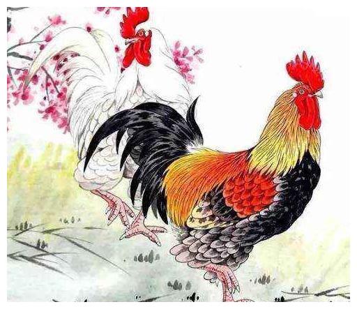 8月23日属鸡生肖的财运如何，明天应该穿什么幸运色衣服？