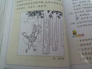 风水常识大全中，有哪些风水布局技巧？