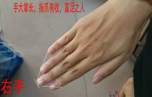 如何分析男性手相来判断其是否为败家女人？