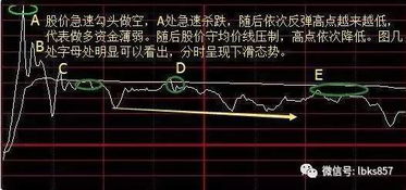 基于自然形态模拟的命名法则