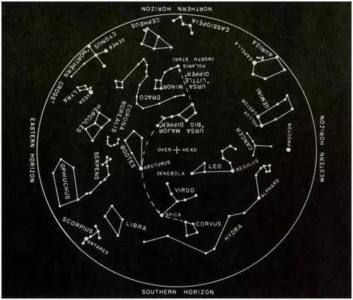白羊座对应的生肖是什么？