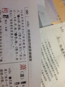 一、 市场价格较高字的形态演进与构造成分