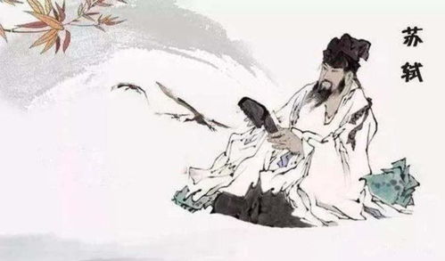 1.1 名与字的奇怪相似性