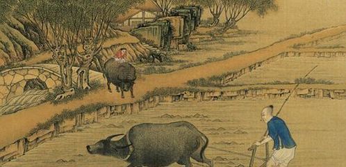 土地兼并：农民生活困境恶化根源