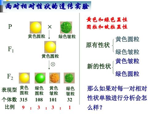 2. 时空盘之后来啊表现