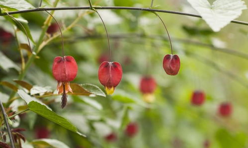 射手座：浪子回头？我看是浪子撞墙！