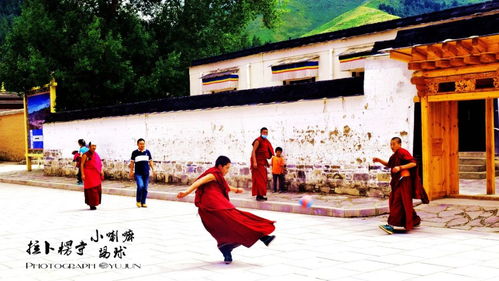 一、 名字的由来——那片秋日的禅意