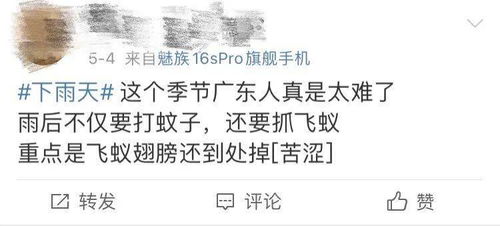 ：窥探潜意识中的幽影