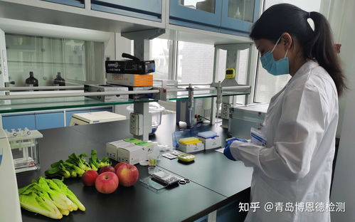 食品检测机构官方旗舰店的检测时间是如何确定的？