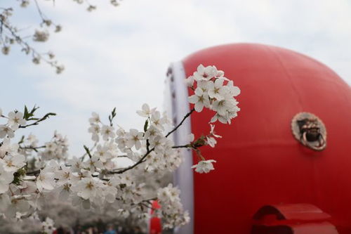 最近感觉特别累，是不是八字里有什么问题，需要调整呢？