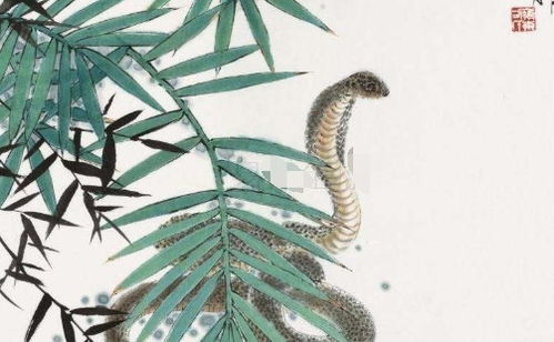 属蛇人的一生运势究竟如何起伏？