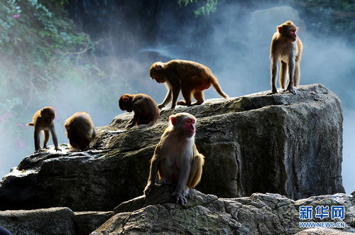 到底是在哪儿啊？急死我了！