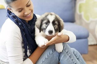 惯与犬类耐寒极限与环境适应性机制的深度学术考察及冬季养护策略研究报告